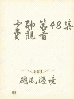 少帅第48集免费观看