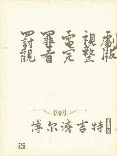 罚罪电视剧在线观看完整版高清