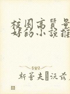 校园高质量文笔好的小说推荐