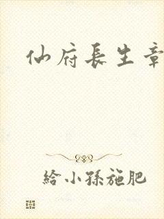 仙府长生章节