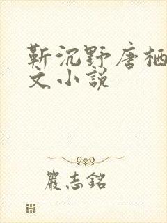 靳沉野唐栖雾全文小说