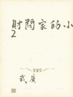 财阀家的小儿子2