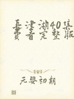 长津湖40集免费看完整版封面