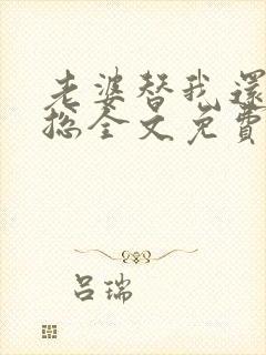 老婆替我还债张总全文免费阅读