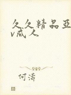 久久精品亚洲av成人