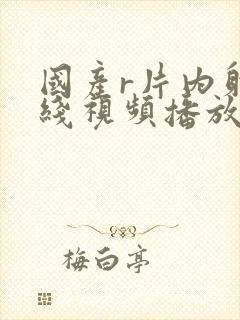 国产r片内射在线视频播放