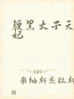 腹黑太子天降萌妃