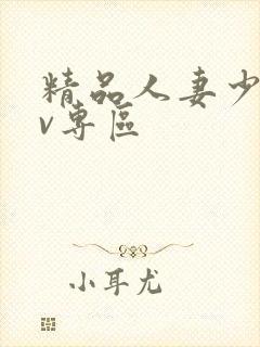 精品人妻少妇av专区