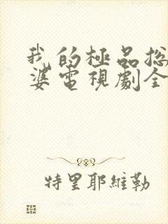 我的极品总裁老婆电视剧全集免费播放封面