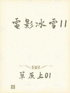 电影冰雪11天