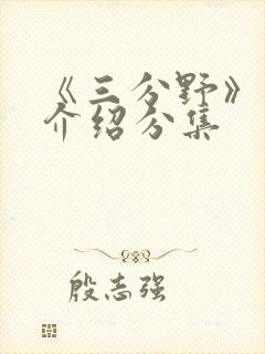 《三分野》剧情介绍分集