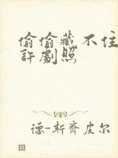 偷偷藏不住段嘉许剧照