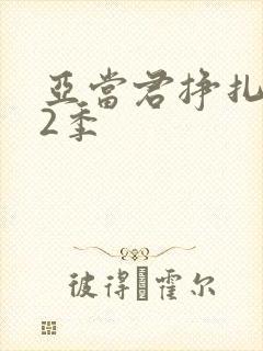 亚当君挣扎吧第2季