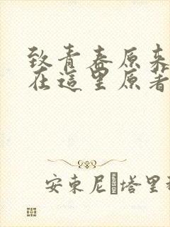 致青春原来你还在这里原著