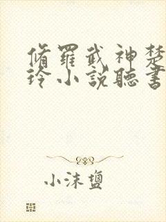 修罗武神楚枫紫玲小说听书小说封面