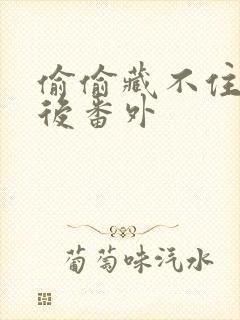 偷偷藏不住 婚后番外