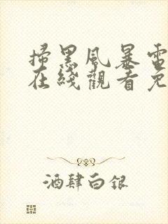 扫黑风暴电视剧在线观看免费25集