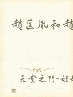 赵匡胤和赵匡义封面