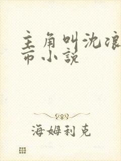 主角叫沈浪的都市小说