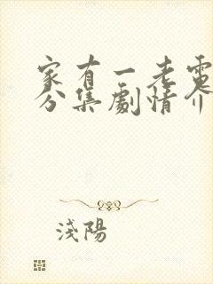 家有一老电视剧分集剧情介绍