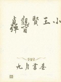 贞观贤王小说无弹窗