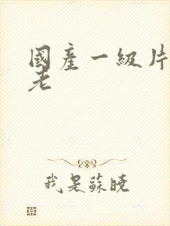 国产一级片内射老