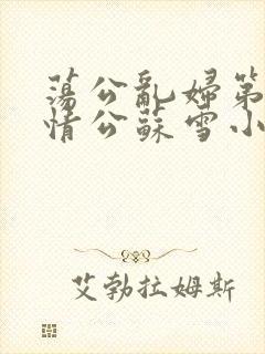 荡公乱妇第1章情公苏雪小说封面