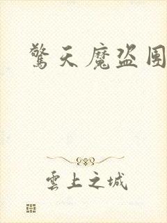 惊天魔盗团高清封面