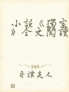 小说《独家小说》全文阅读