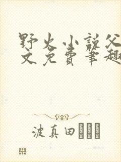 野火小说父女全文免费笔趣阁