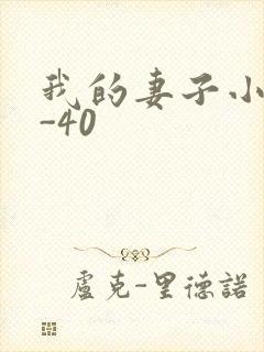 我的妻子小谨1-40封面