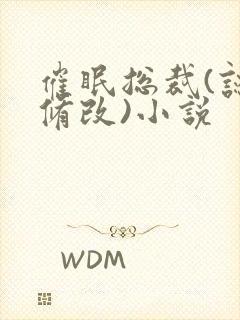 催眠总裁(认知修改)小说