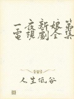 一夜新娘第一季电视剧全集免费观看