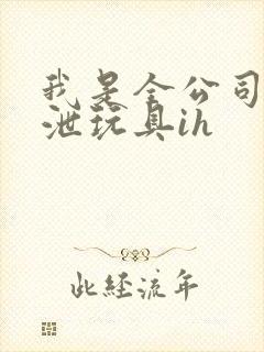 我是全公司的发泄玩具ih