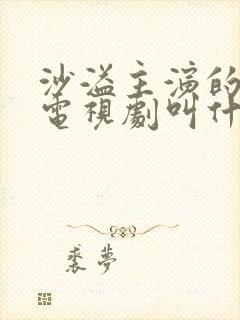 沙溢主演的谍战电视剧叫什么