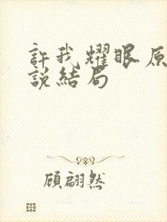 许我耀眼原著小说结局