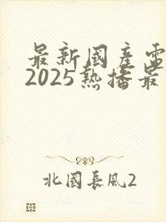 最新国产电视剧2025热播最火剧免费观看