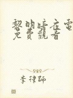 黎明暗夜电视剧免费观看封面