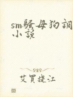 sm骚母狗调教小说