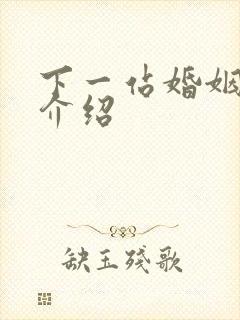 下一站婚姻剧情介绍