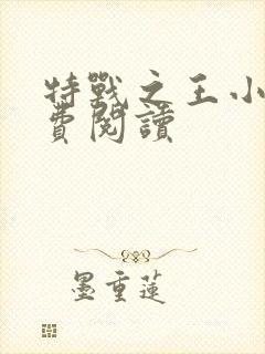 特战之王小说免费阅读