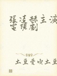 张凌赫主演过的电视剧