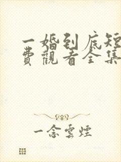 一婚到底短剧免费观看全集高清封面