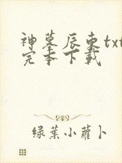 神墓辰东txt完本下载
