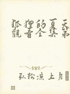 狐狸的夏天免费观看全集第一季封面