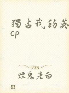独占我的英雄副cp