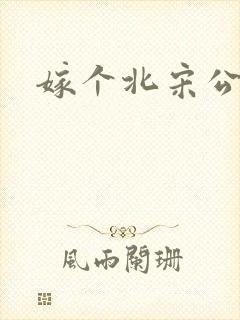 嫁个北宋公务员