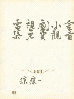 电视剧小舍得全集免费观看第一港剧封面