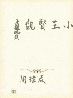 贞观贤王小说免费封面