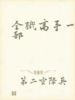 全职高手一共几部